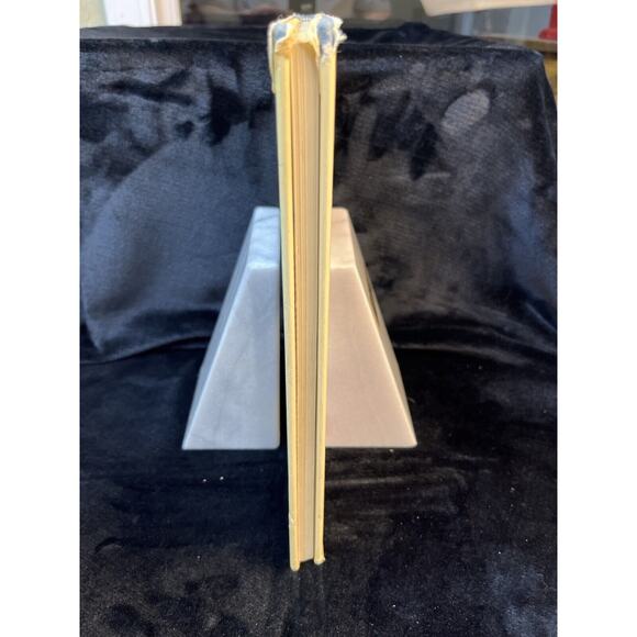 Vintage The Beauty of Dogs by Kenneth Bailey London England w Dust Jacket 1972 - Picture 4 of 13